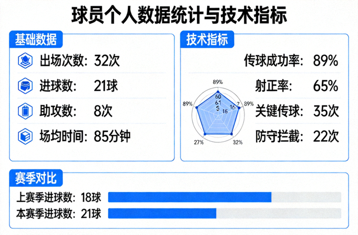 球员个人数据统计与技术指标展示